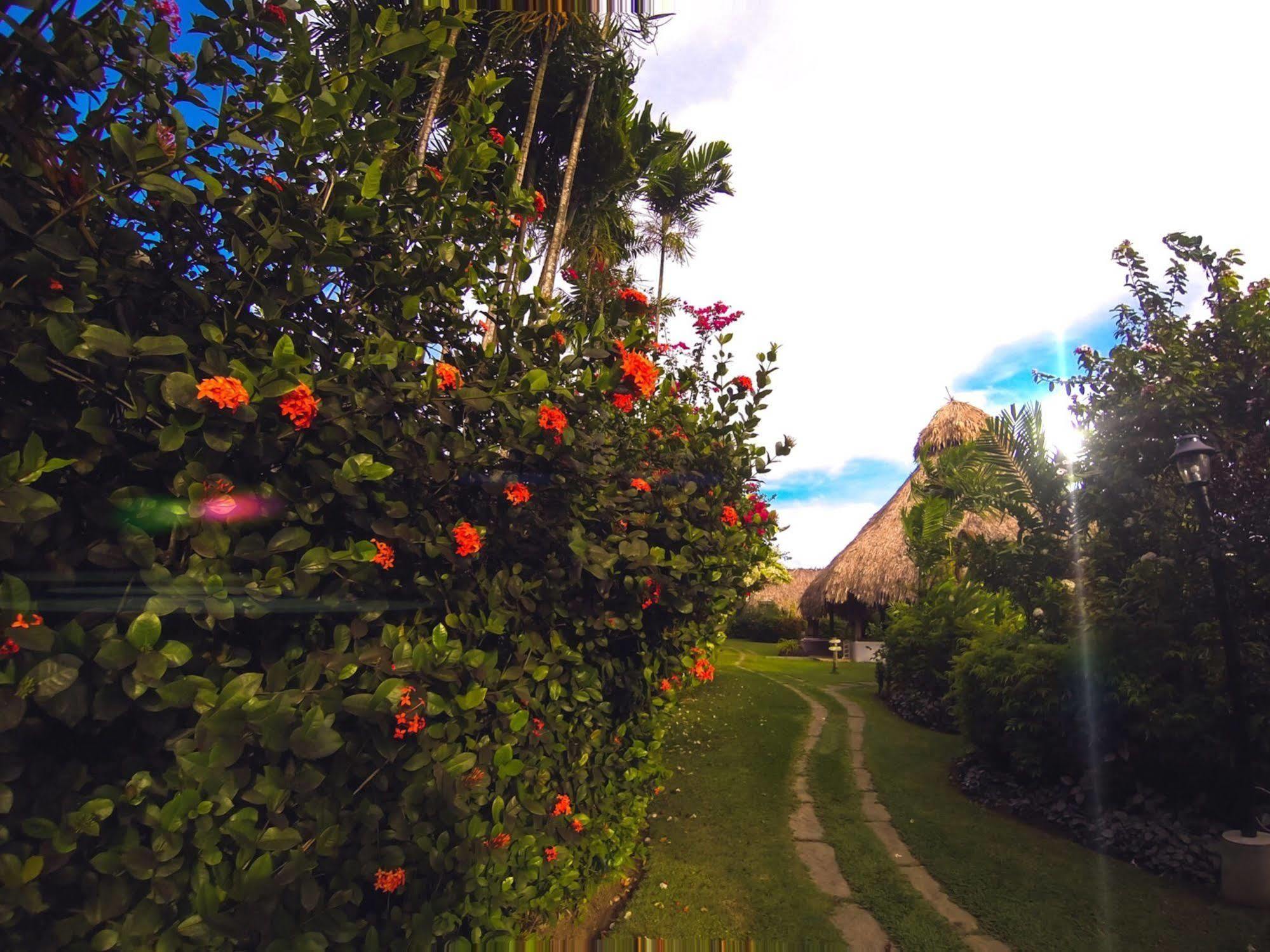Kariwak Village Holistic Haven Crown Point Eksteriør bilde